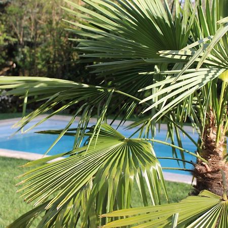 Les Romarins B&B, 10 Min D'Uzes, Piscine Et Grand Jardin, Table D'Hote Exterior foto