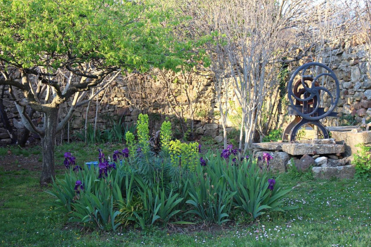 Les Romarins B&B, 10 Min D'Uzes, Piscine Et Grand Jardin, Table D'Hote Exterior foto